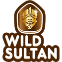 Casino Wild Sultan